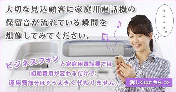 ビジネスフォンページへ